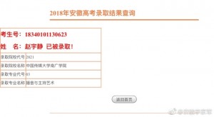 2018安徽李家军录取喜报66号